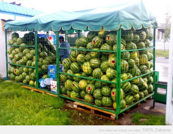 Testeri lubenice